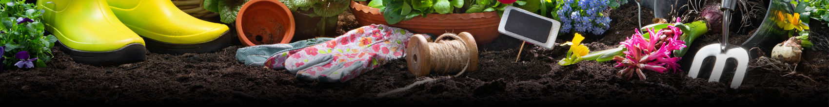 Felton Seed Lending Library