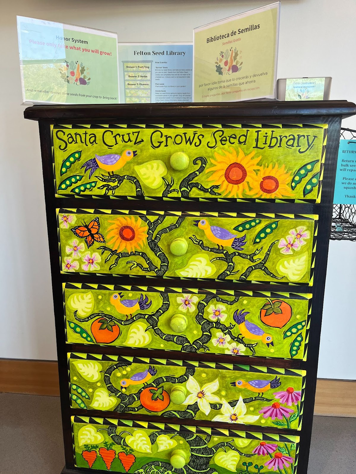 Seed cabinet