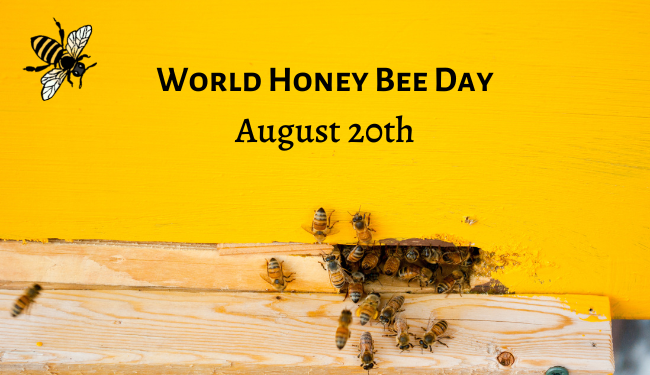 Celebrate World Honey Bee Day Event